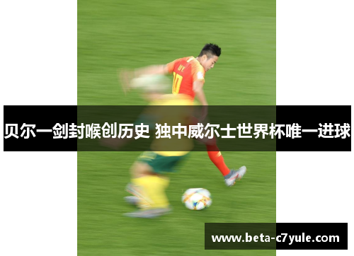 贝尔一剑封喉创历史 独中威尔士世界杯唯一进球